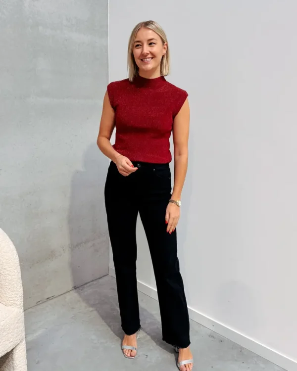 By Lenz Tops | STARDUST TOP - BURGUNDY